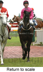 Return to scale (14008 bytes)