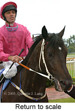 Return to scale (14008 bytes)