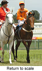 Return to scale (14008 bytes)