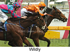 Wildly (14772 bytes)