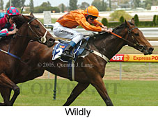 Wildly (14772 bytes)