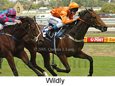 Wildly (14772 bytes)