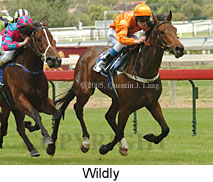 Wildly (14772 bytes)