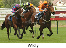 Wildly (14772 bytes)