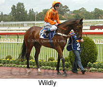 Wildly (14772 bytes)