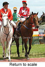 Return to scale (14008 bytes)