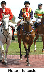 Return to scale (14008 bytes)