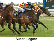 Super Elegant (14772 bytes)