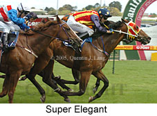 Super Elegant (16081 bytes)