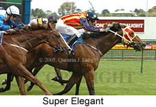 Super Elegant (14772 bytes)