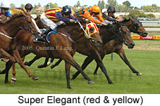 Super Elegant (14772 bytes)