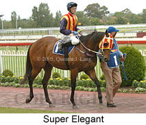 Super Elegant (14772 bytes)