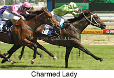 Charmed Lady (14772 bytes)