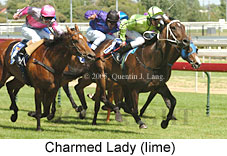 Charmed Lady (14772 bytes)