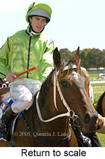 Return to scale (14008 bytes)