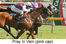 Pray In Vain (14772 bytes)