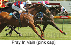 Pray In Vain (14772 bytes)