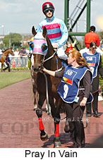 Pray In Vain (14772 bytes)