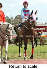 Return to scale (14008 bytes)