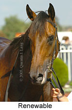 Renewable (14772 bytes)