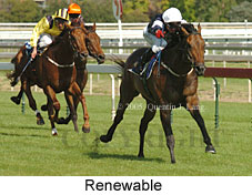 Renewable (14772 bytes)