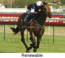 Renewable (14772 bytes)