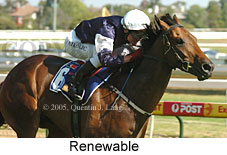 Renewable (14772 bytes)