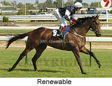 Renewable (14772 bytes)