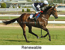 Renewable (14772 bytes)