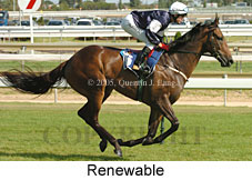 Renewable (14772 bytes)