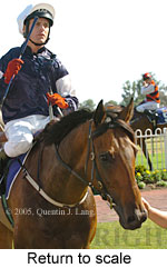 Return to scale (14008 bytes)