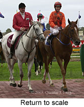 Return to scale (14189 bytes)