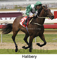 Halibery (18454 bytes)