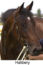 Halibery (10896 bytes)