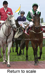 Return to scale (13582 bytes)