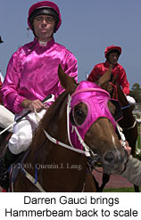 Darren Gauci (15885 bytes)