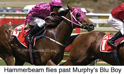 Hammerbeam (18320 bytes)