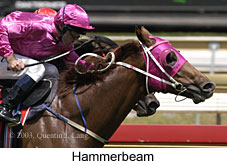 Hammerbeam (15571 bytes)