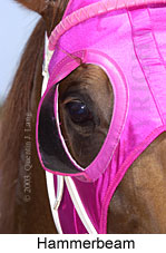 Hammerbeam (13692 bytes)