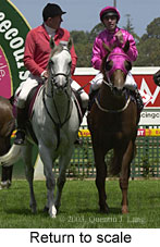 Return to scale (15402 bytes)