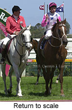 Return to scale (15107 bytes)