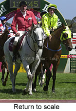 Return to scale (15107 bytes)