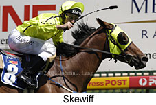 Skewiff (16156 bytes)