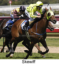 Skewiff (18208 bytes)