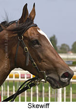 Skewiff (18208 bytes)