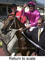 Return to scale (15479 bytes)