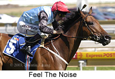 Feel The Noise (16371 bytes)