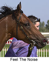 Feel The Noise (12641 bytes)