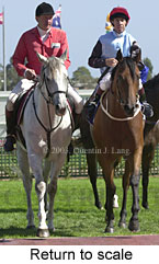 Return to scale (15598 bytes)