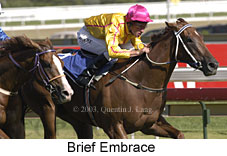 Brief Embrace (15078 bytes)